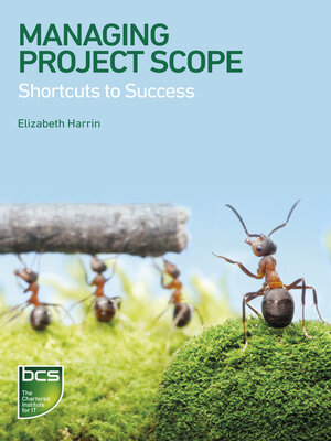 cover image of Managing Project Scope